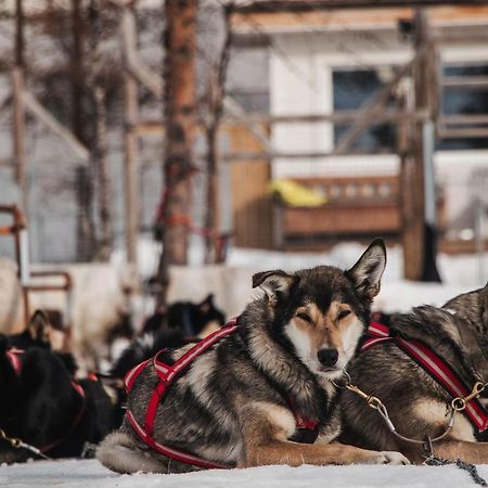 Mattarahkka Northern Light Lodge Кіруна Екстер'єр фото