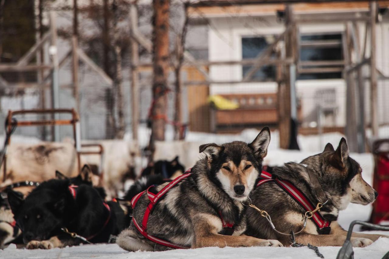 Mattarahkka Northern Light Lodge Кіруна Екстер'єр фото