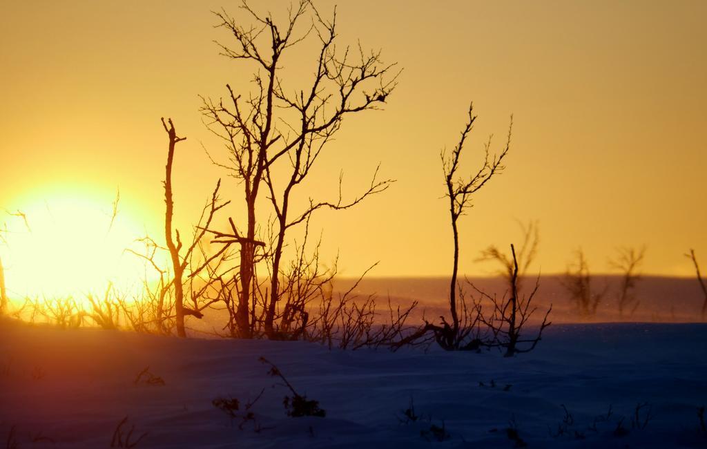 Mattarahkka Northern Light Lodge Кіруна Екстер'єр фото