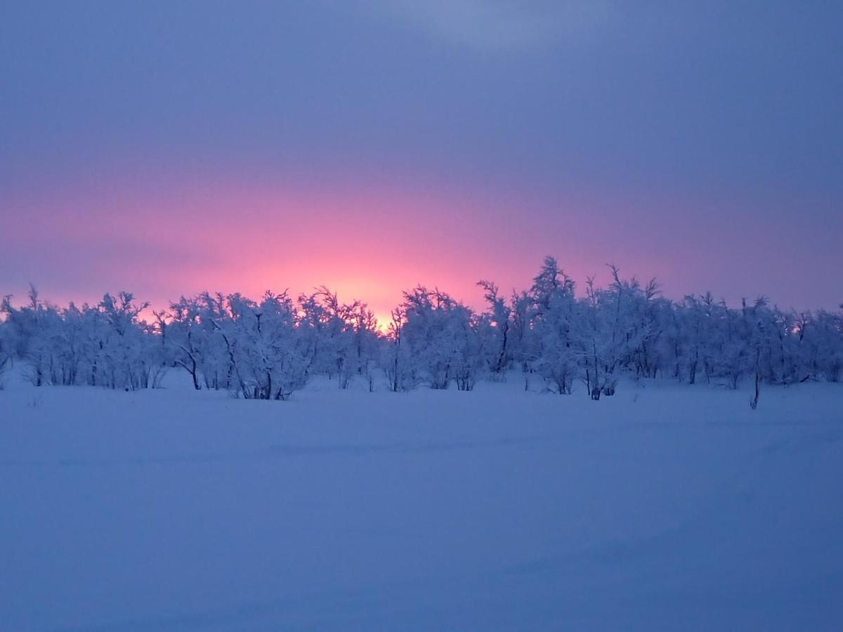 Mattarahkka Northern Light Lodge Кіруна Екстер'єр фото